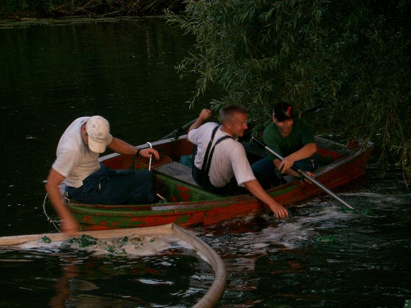 Froschrennen auf der Lahn